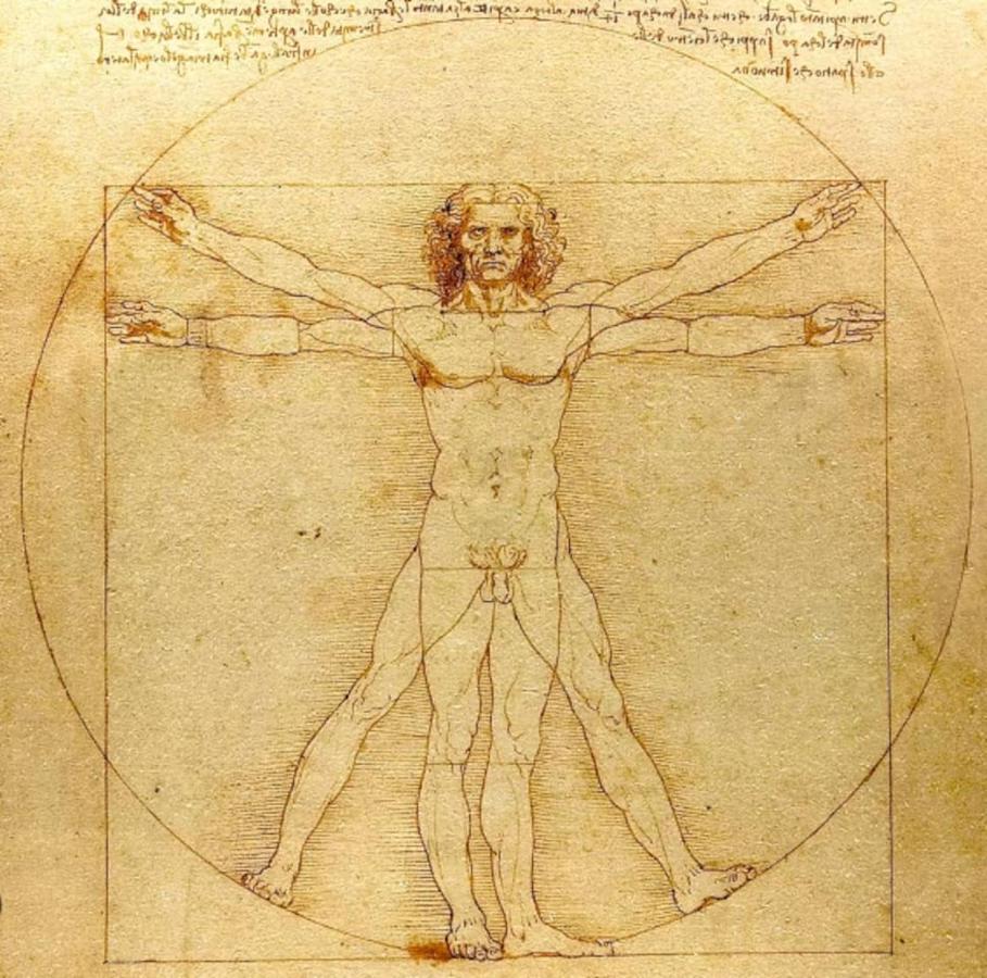 Da Vinci - Charmant Et Relax Amboise Eksteriør billede