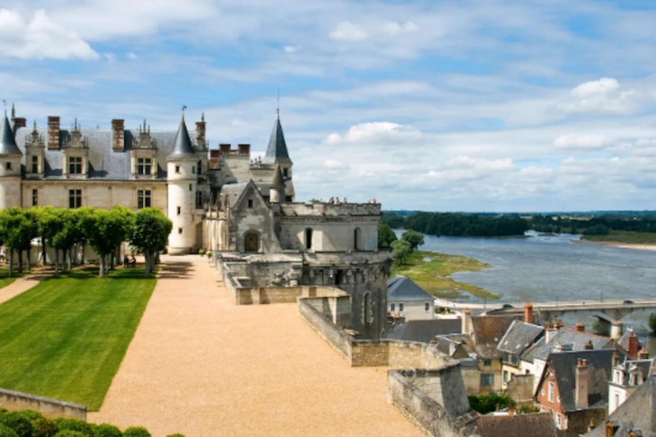 Da Vinci - Charmant Et Relax Amboise Eksteriør billede